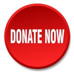 Donate Now Button